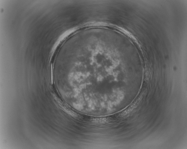 X0000079281223200612081745