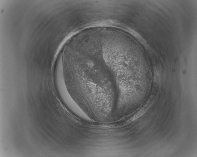 X0000079281224200612081745