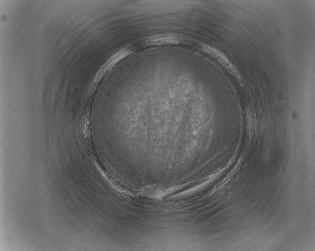 X0000079281225200612081745