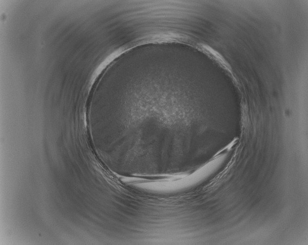 X0000079281226200612081745