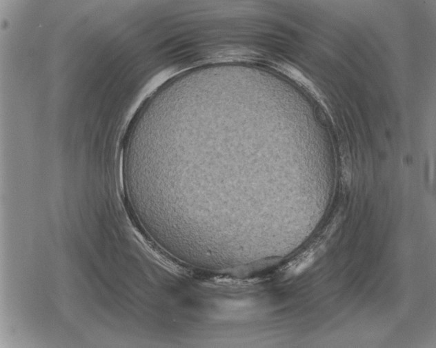 X0000079281227200612081745