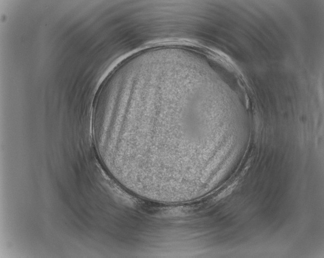 X0000079281228200612081745