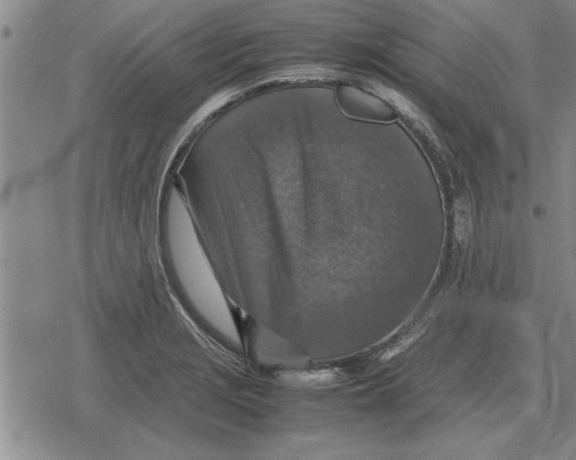 X0000079281229200612081745