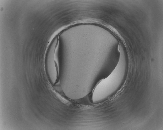 X0000079281230200612081745