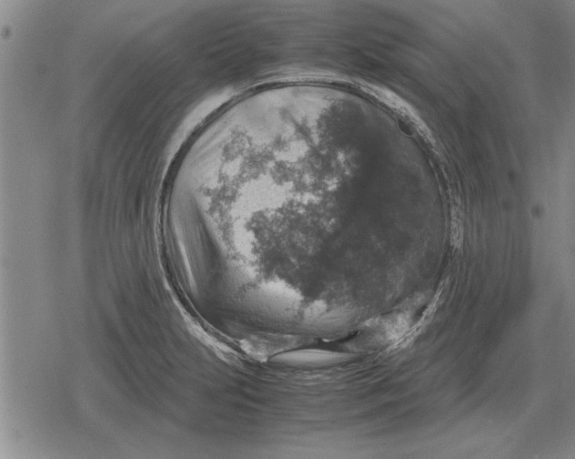 X0000079281231200612081745