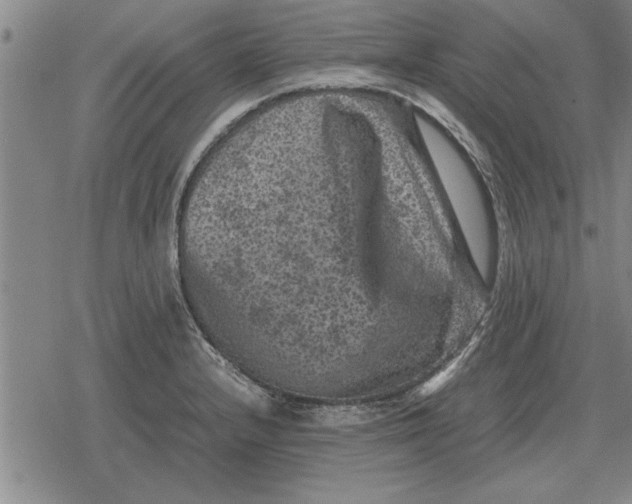 X0000079281232200612081745