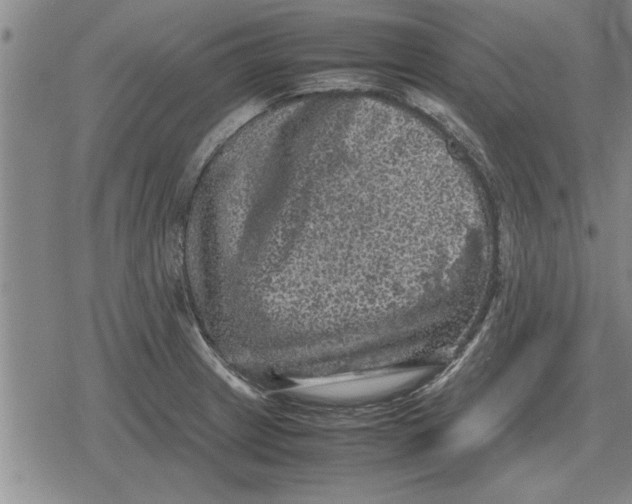 X0000079281233200612081745