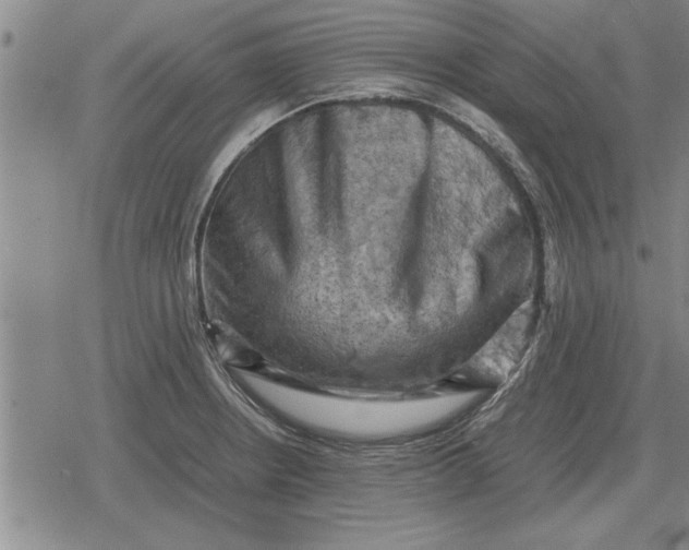 X0000079281234200612081745