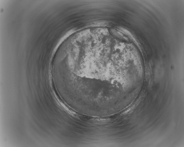 X0000079281235200612081745