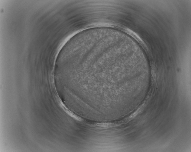 X0000079281236200612081745