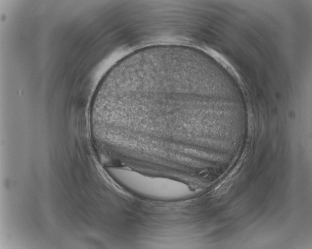 X0000079281238200612081745