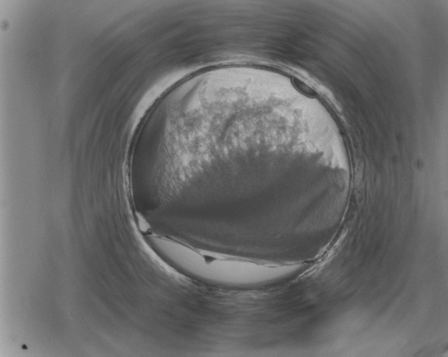 X0000079281239200612081745