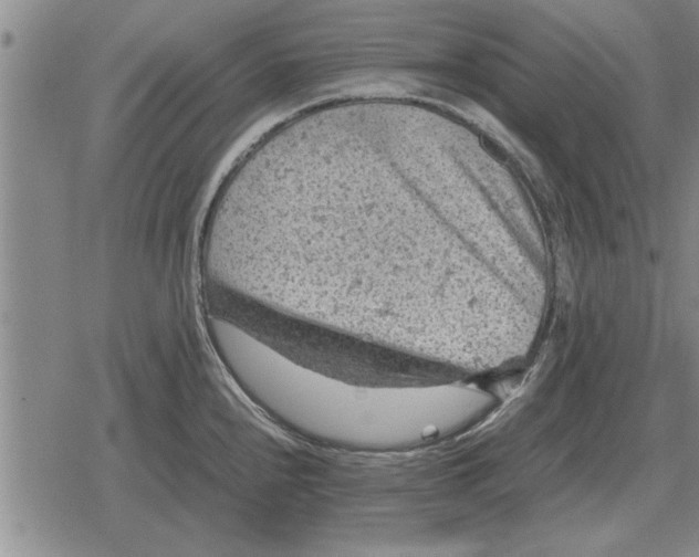 X0000079281240200612081745