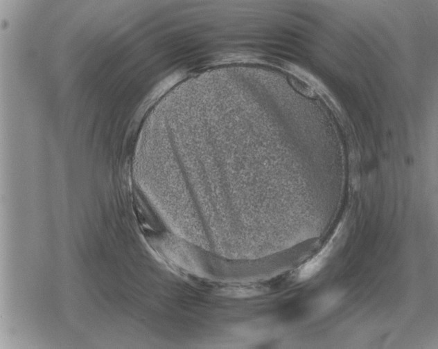 X0000079281241200612081745