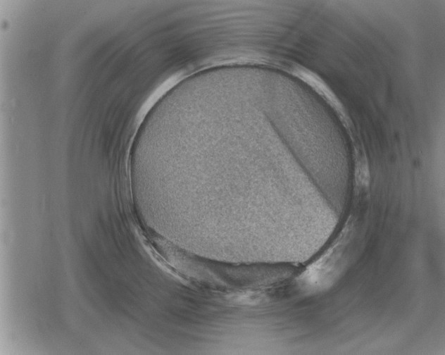 X0000079281242200612081745