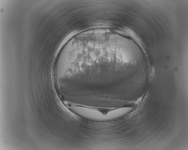 X0000079281243200612081745