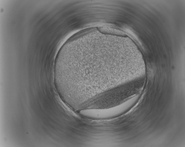 X0000079281244200612081745