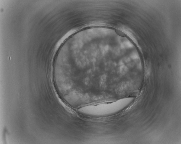 X0000079281245200612081745