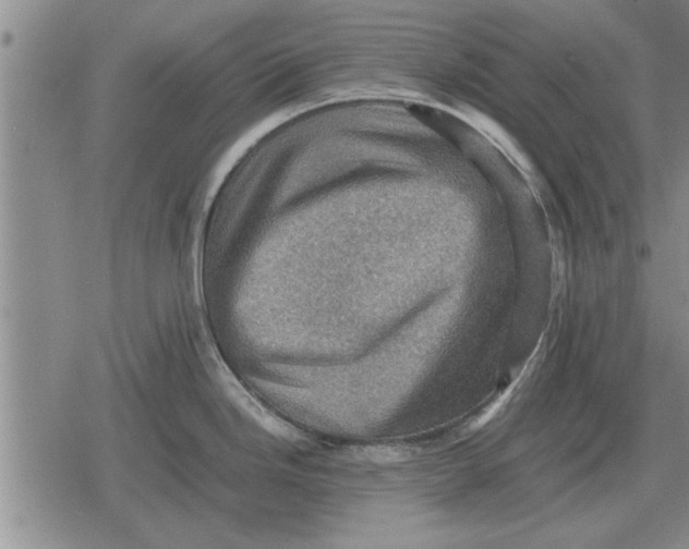 X0000079281246200612081745