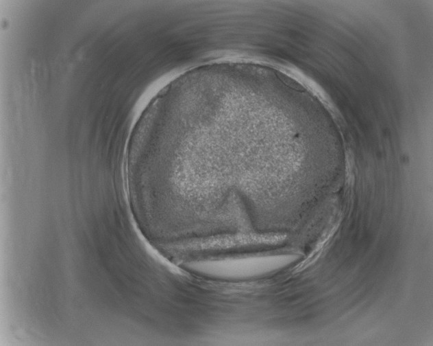 X0000079281247200612081745