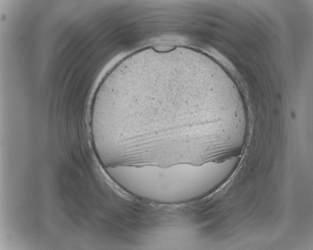 X0000079281248200612081745