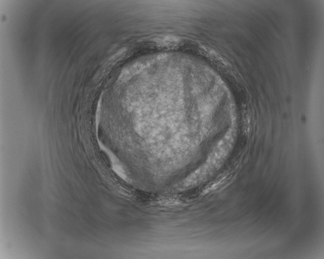 X0000079281249200612081744