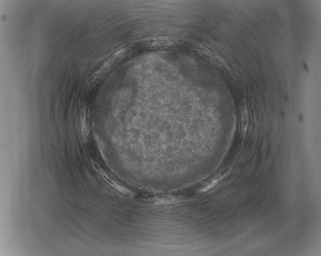 X0000079281250200612081744