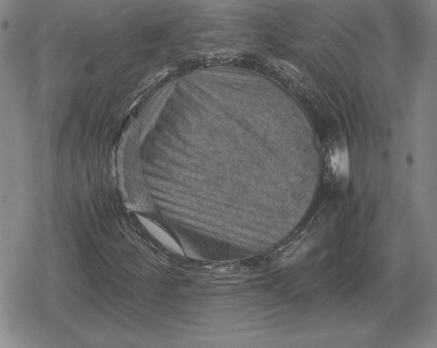 X0000079281252200612081744