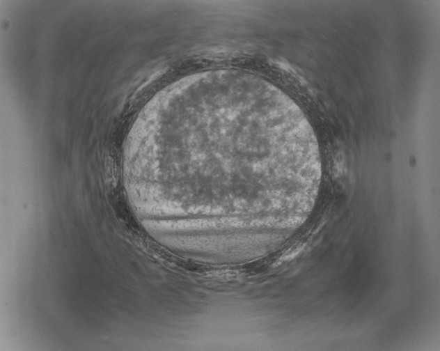 X0000079281253200612081744