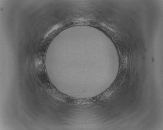 X0000079281254200612081744