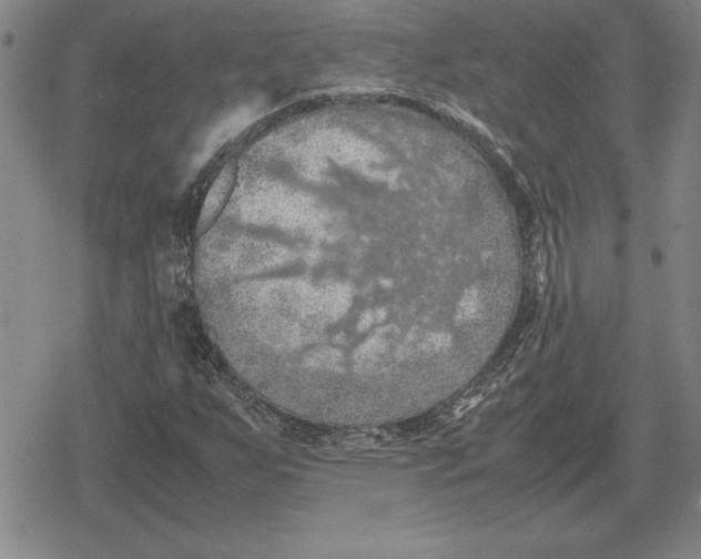 X0000079281255200612081744