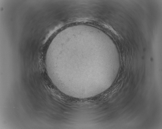 X0000079281256200612081744