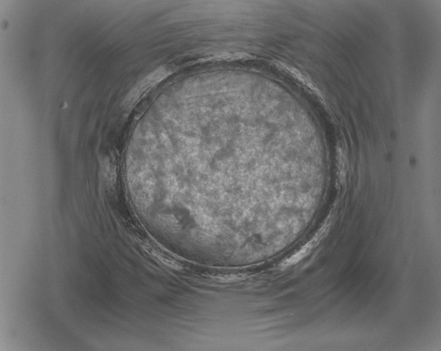 X0000079281257200612081744