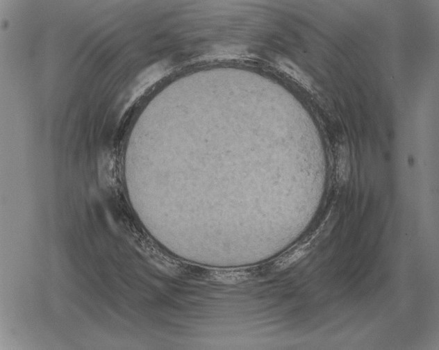 X0000079281258200612081744