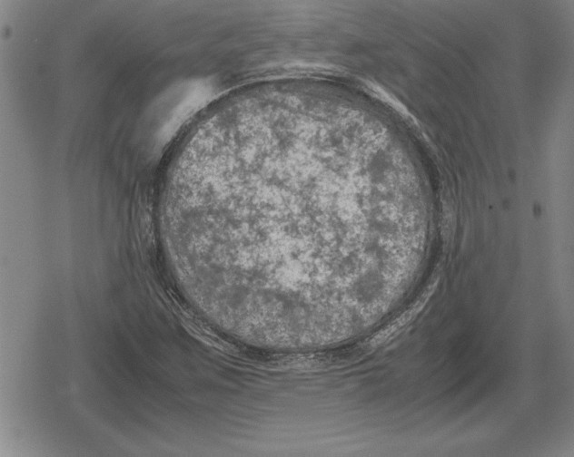 X0000079281259200612081744