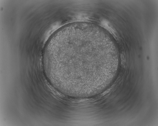 X0000079281260200612081744