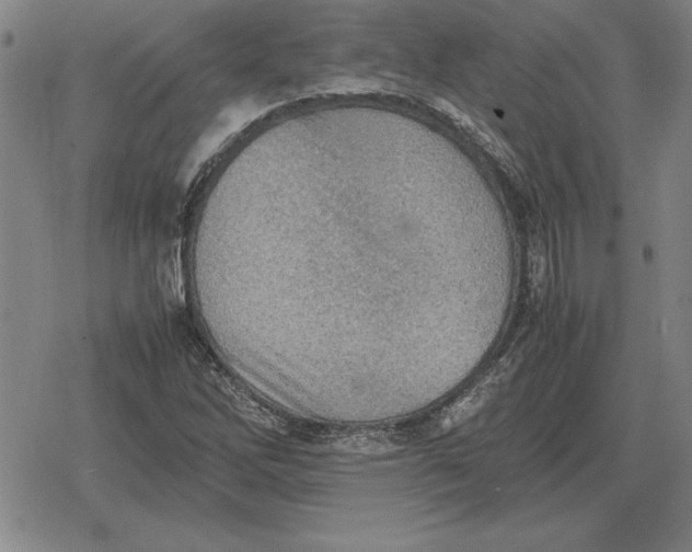 X0000079281262200612081744