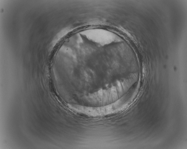 X0000079281263200612081744