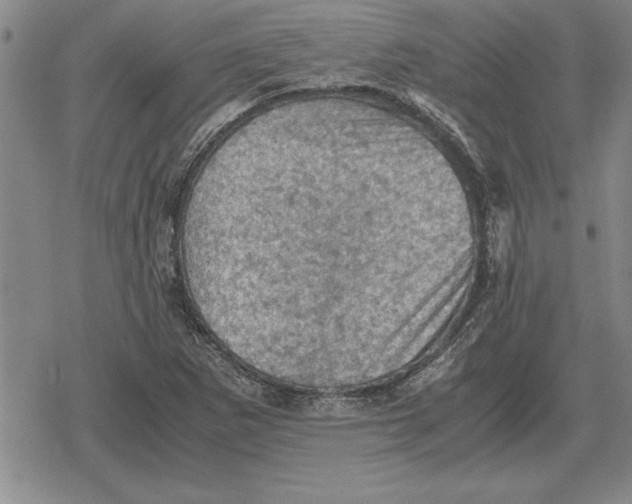 X0000079281265200612081744