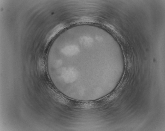 X0000079281266200612081744