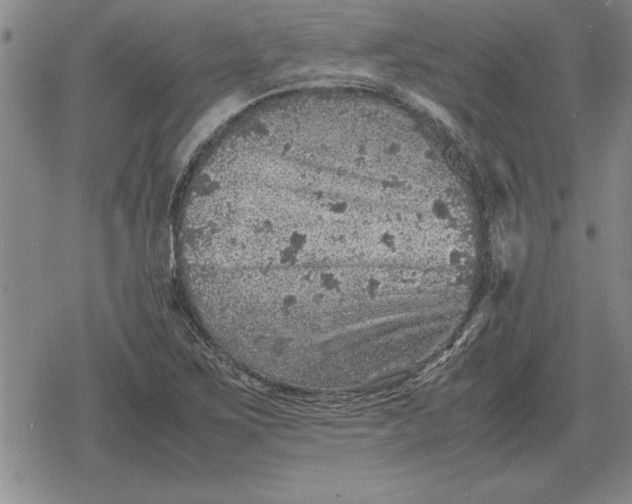 X0000079281267200612081744