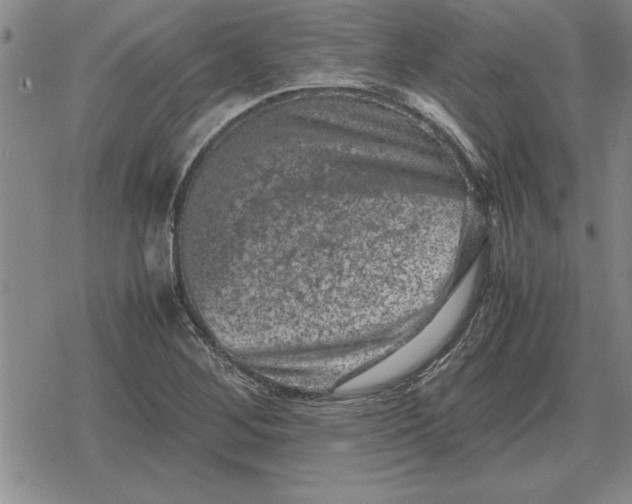 X0000079281268200612081744