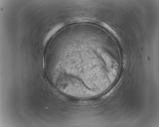 X0000079281269200612081744