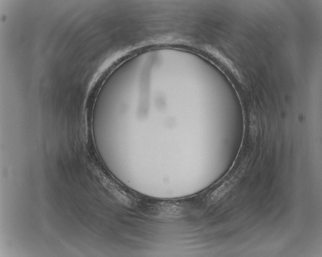 X0000079281270200612081744