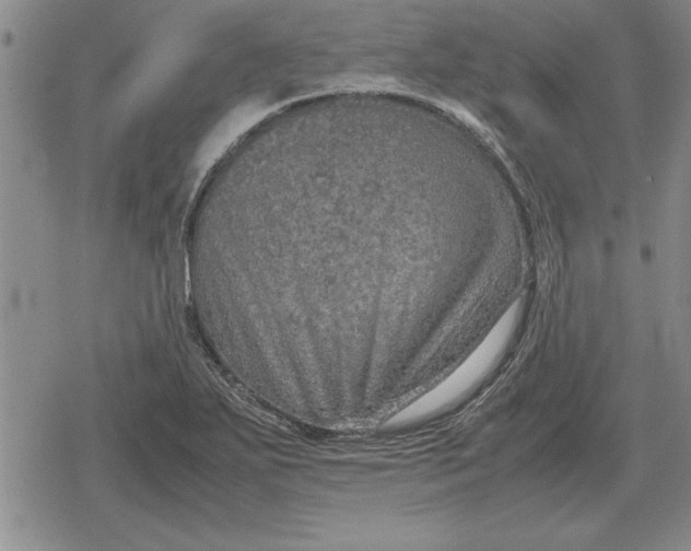 X0000079281271200612081744