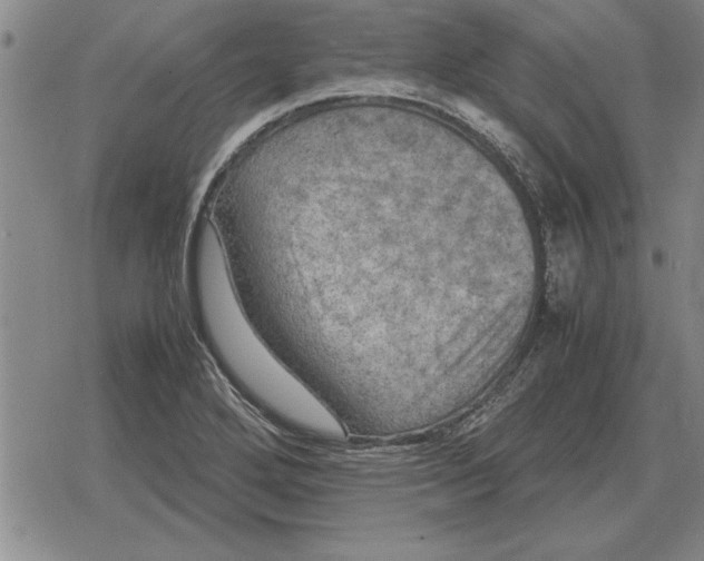 X0000079281272200612081744