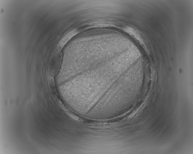 X0000079281273200612081744