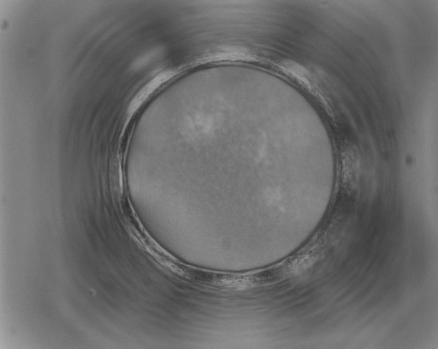 X0000079281274200612081744