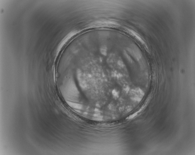 X0000079281275200612081744