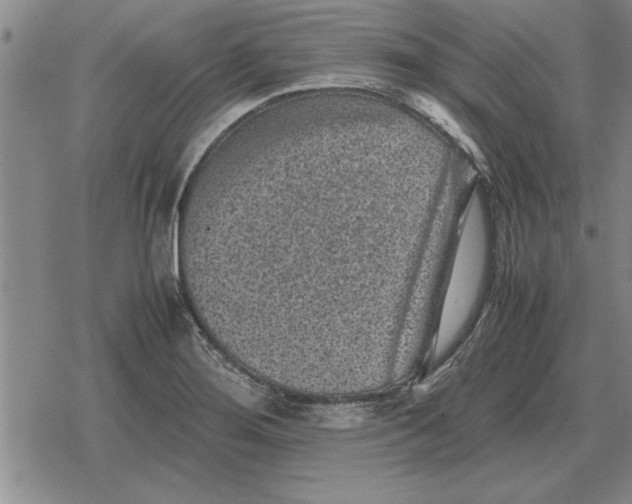 X0000079281276200612081744